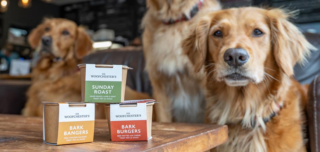 Pet-Friendly Hotel Products