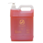 Duck Island Paradise hand wash 5 litre refill