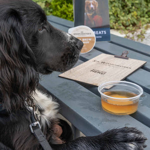 Sir Woofchester chicken dog drink on table in pub garden