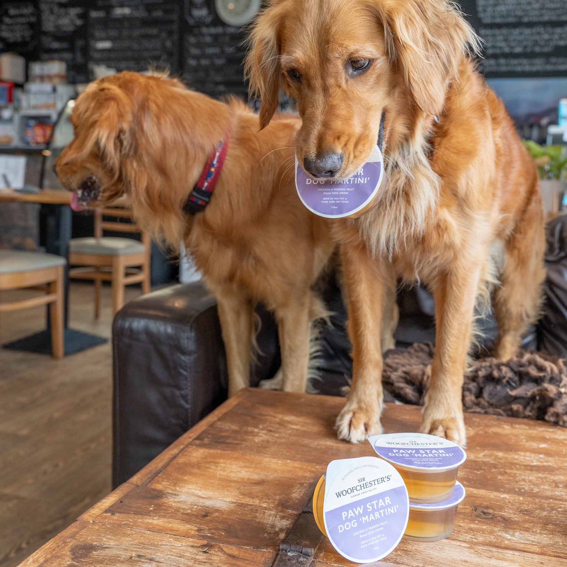 Sir Woofchester chicken and passionfruit dog drink in hotel restaurant