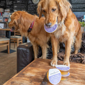 Sir Woofchester chicken and passionfruit dog drink in hotel restaurant