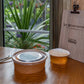 Fish and chips dog bowl meal in dog friendly hotel
