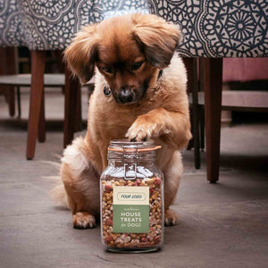 Sir Woofchester's Kilner Jar
